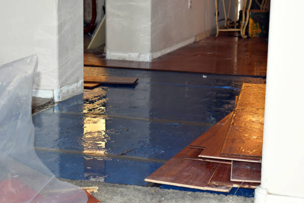 Professional Burst Pipe Cleanup technician working in Glen Dale, WV
